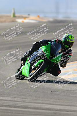 media/Jan-14-2024-SoCal Trackdays (Sun) [[2e55ec21a6]]/Turns 9 and 8 (10am)/